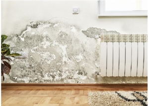 humidity by capillarity