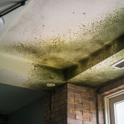 eliminating thermal bridges