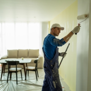 thermal insulation inside buildings