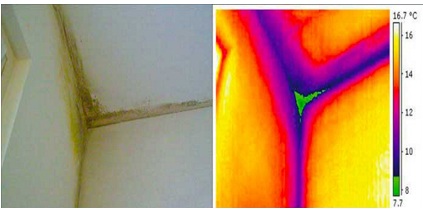 termografía que muestra cómo eliminar los puentes térmicos responsables de condensación y moho en paredes